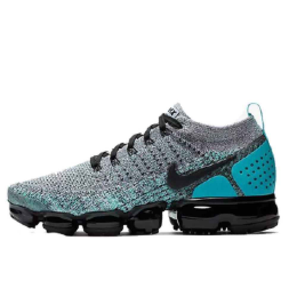 Nike Air Vapormax Dusty Cactus