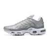 Nike Air Max TN Gris