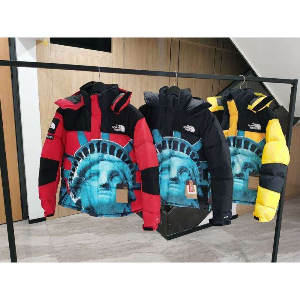 Chaqueta TNF Charlotte Bartholdi