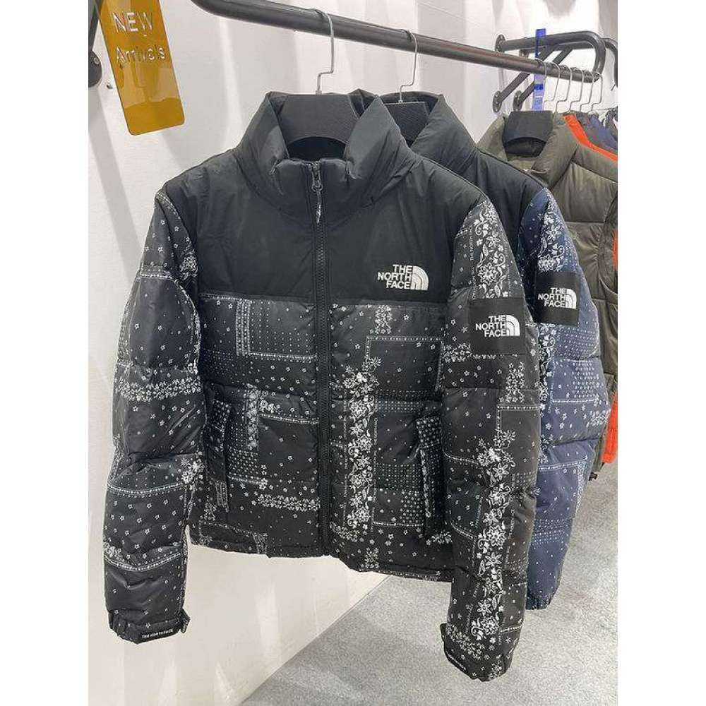 Alternative view of Chaqueta TNF - Snow Details