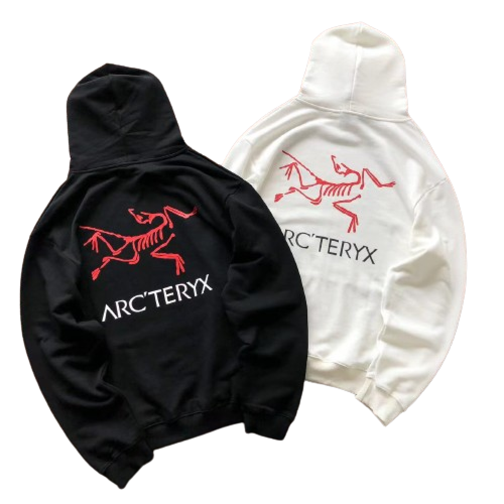 Sudadera Palace x Arc`teryx