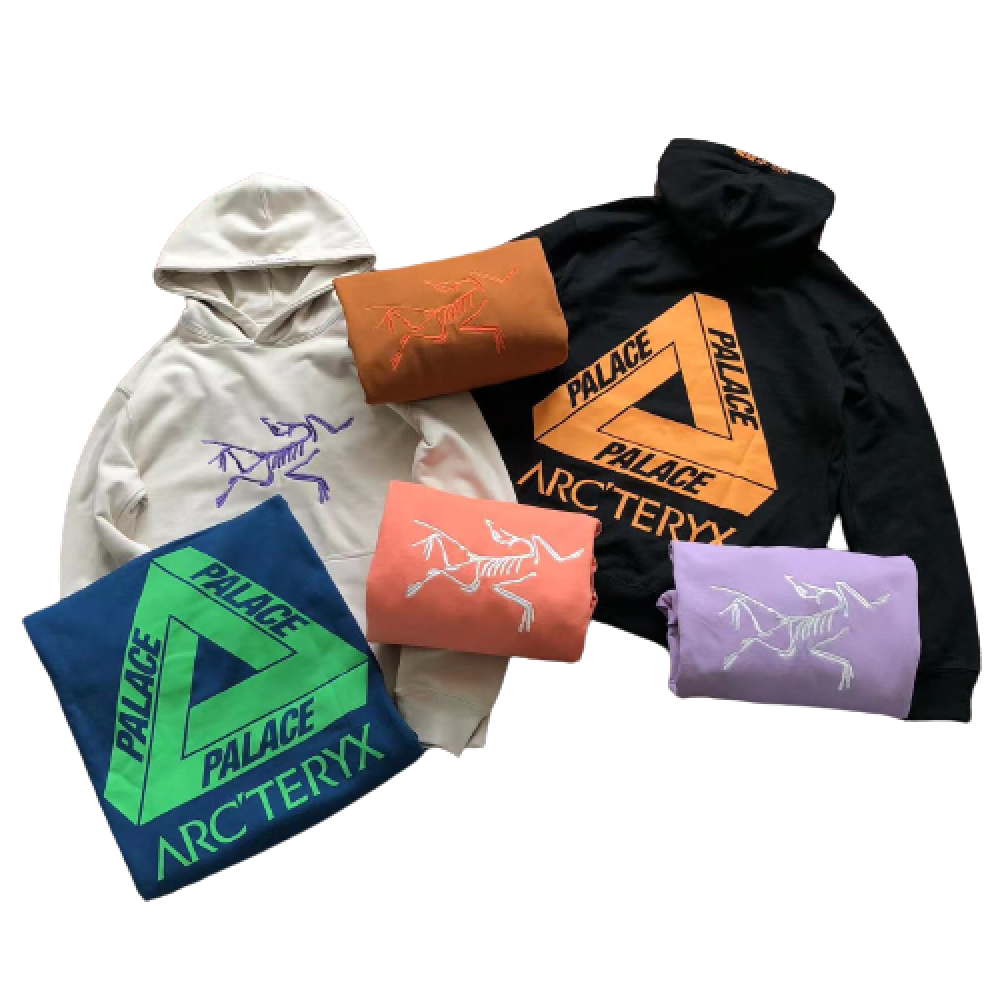 Sudadera Palace x Arc´teryx
