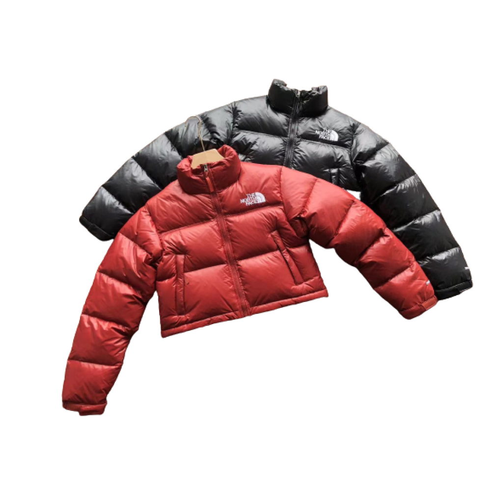 Chaqueta TNF Corta
