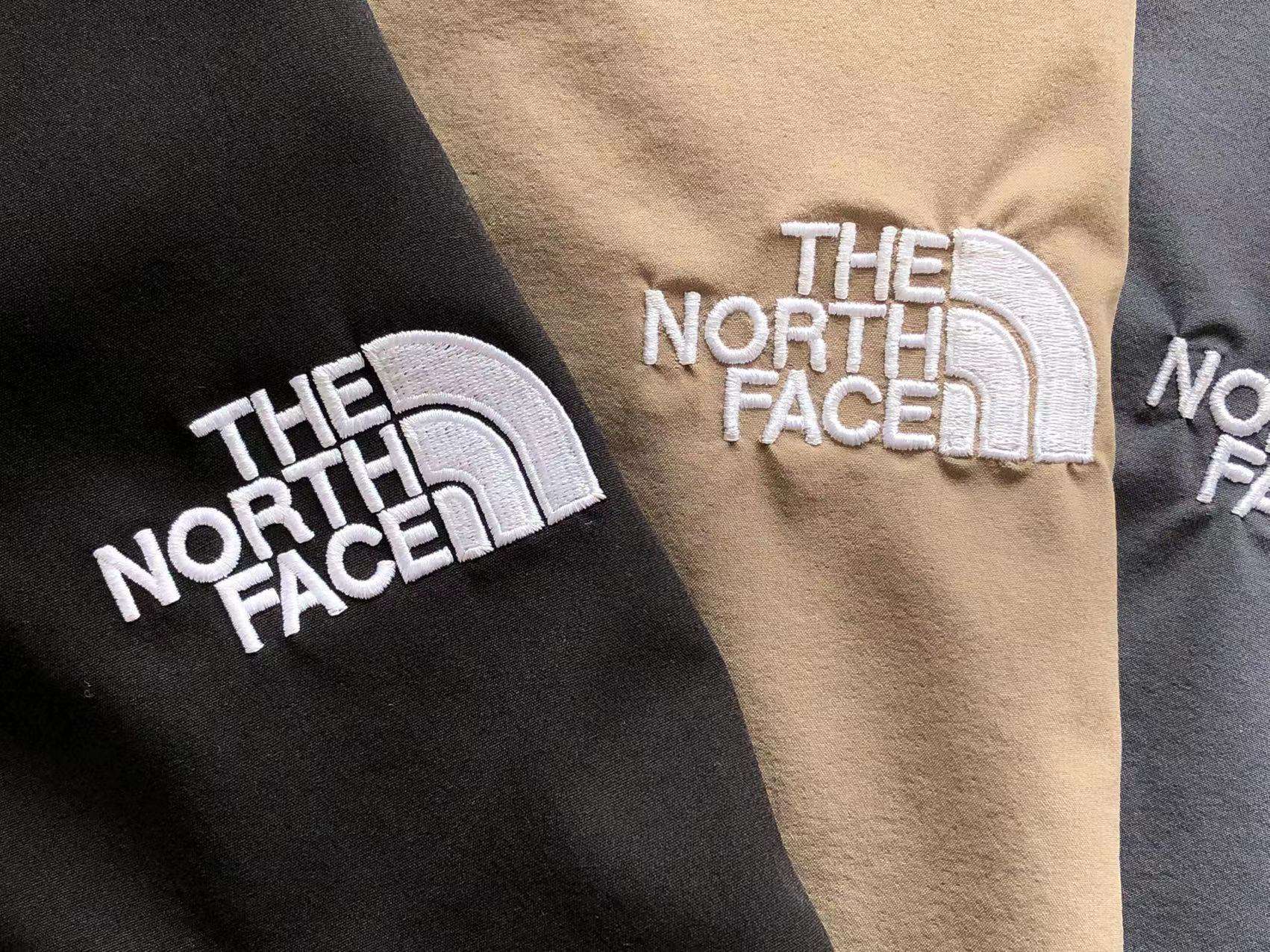 Pantalones Cortos TNF- SS23 - Imagen 3