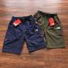 Pantalones Cortos TNF