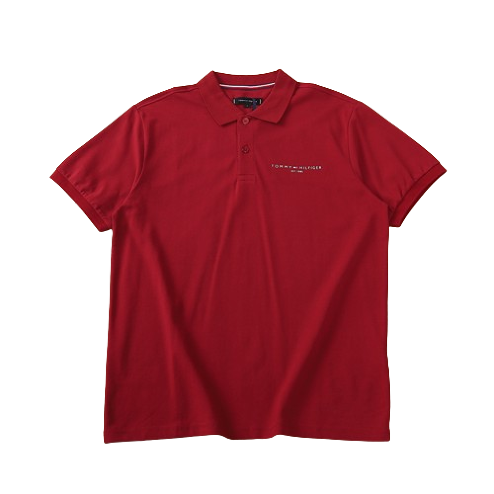 Alternative view of Camiseta Tommy